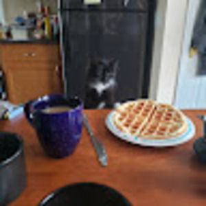 Meet your Posher, Susan